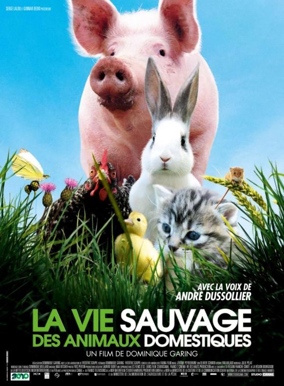 [Affiche] La Vie sauvage des animaux domestiques