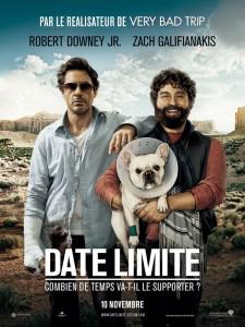 Date Limite, critique