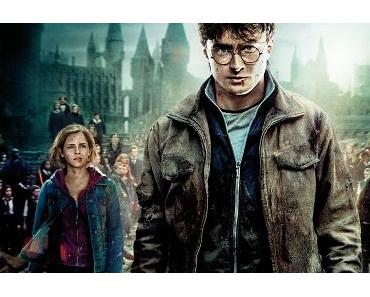 Harry Potter et les Reliques de la Mort (2e partie), critique
