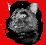 Chat Guevara