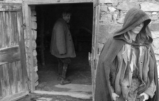 Le Cheval de Turin - 2