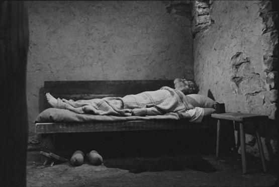 Le Cheval de Turin - 3