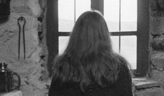 Le Cheval de Turin - 4