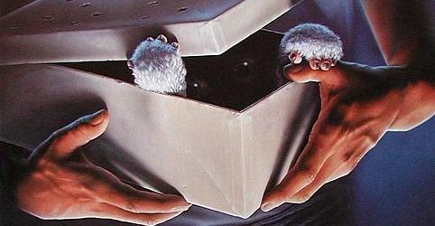 Culte du dimanche : Gremlins