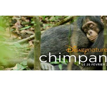 Critique du Spécialiste : Chimpanzés vu par un primatologue