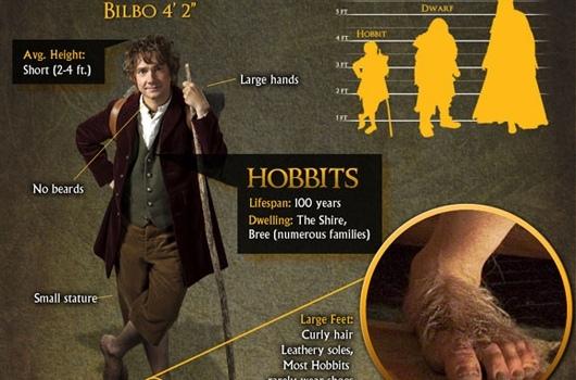 La carte d'identité du Hobbit