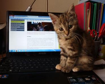 Dans le bureau d’Anaïs Carpita