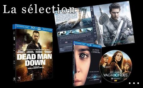 Sorties DVDs / Blu-Rays Août 2013