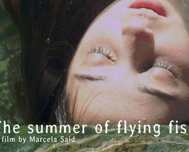 Mardi 24 septembre à 20h30, au cinéma Le Zola, en Avant-première : L’été des poissons volants de Marcela Said