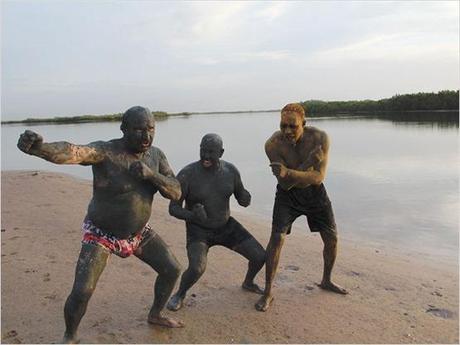 Afrikaioli - 5