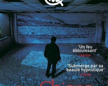 Les chiens errants
