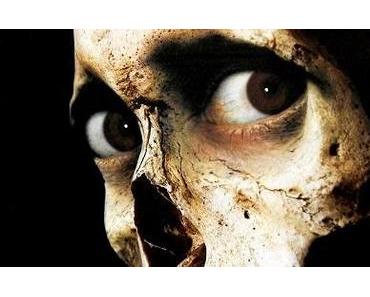 Culte du dimanche : Evil Dead 2