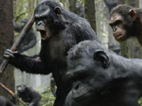 La-Planète-des-Singes-L-Affrontement-Image-6