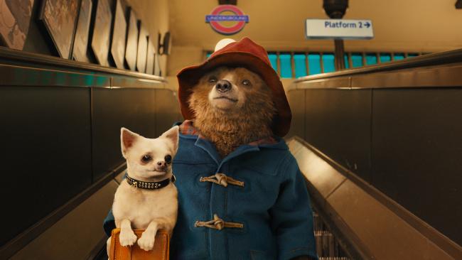 PADDINGTON