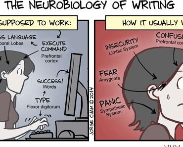 The neurobiology of writing