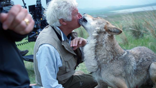 Wolf-Le-Dernier-Loup-Jean-Jacques-Annaud-Image-17