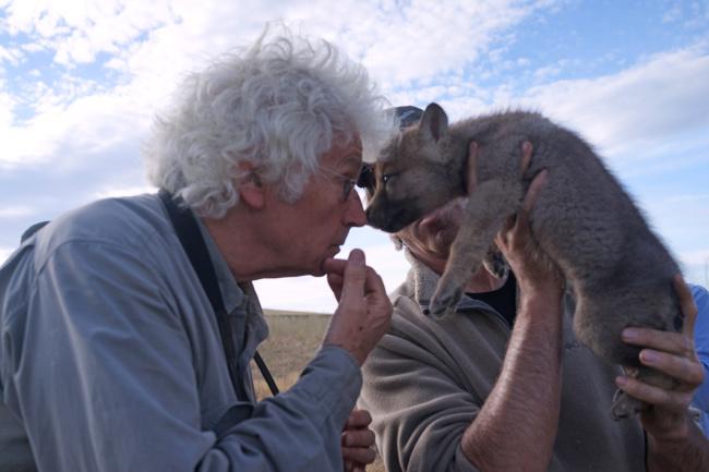 Wolf-Le-Dernier-Loup-Jean-Jacques-Annaud-Image-14