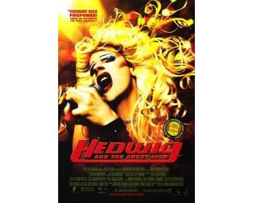 Hedwig and the Angry Inch : Critique