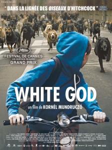 White God, critique