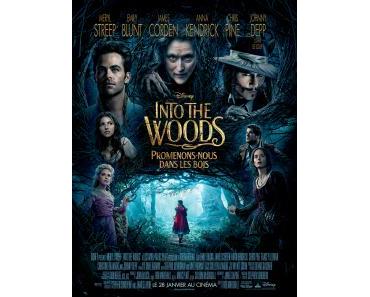 Into the Woods : Notre critique