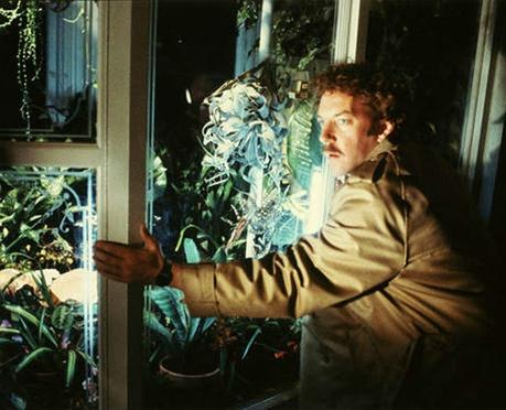 9-l-invasion-des-profanateurs-invasion-of-the-body-snatchers-de-philip-kaufman-1978_portrait_w858