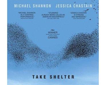 TAKE SHELTER : BRILLANT