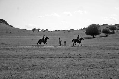 Aferim!  un objet filmique non identifié à découvrir absoluement