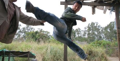 Donnie Yen kick