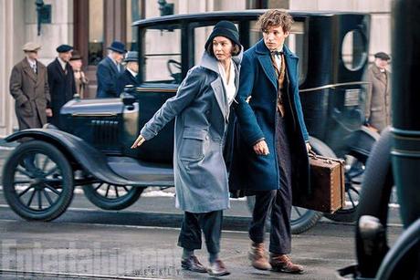 Photos de Fantastic Beasts (Les Animaux fantastiques)