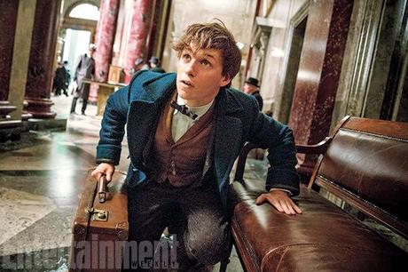 Photos de Fantastic Beasts (Les Animaux fantastiques)