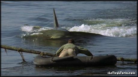 jaws2pic47