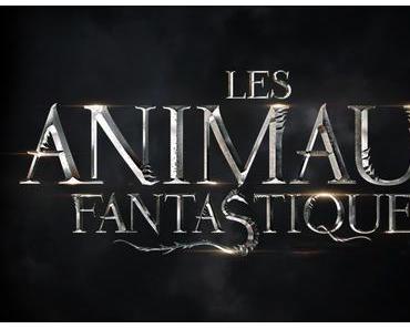 Les Animaux fantastiques (Fantastic Beasts and Where to Find Them) de David Yates : Première bande-annonce