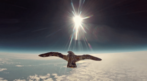 Laurent Lamarca – Le Vol des Cygnes