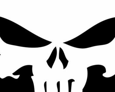 The Punisher: feu vert pour la série!