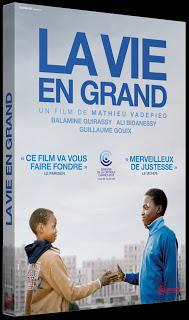 Sorties DVDs / Blu-Rays Janvier 2016