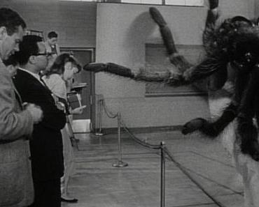 Earth Vs. The Spider - 1958 ("Tarantula !")