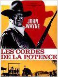 Les Cordes de la Potence (1973) de Andrew V. McLaglen