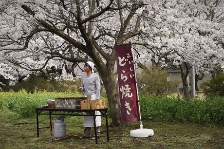 Les délices de Tokyo (An)