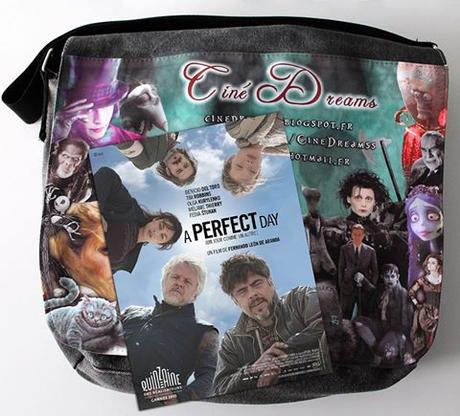 Critique A Perfect Day