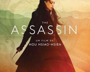 The Assassin : Un spectacle sublimement pénible