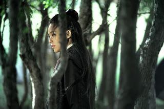 The Assassin : Un spectacle sublimement pénible