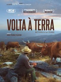 volta_a_terra