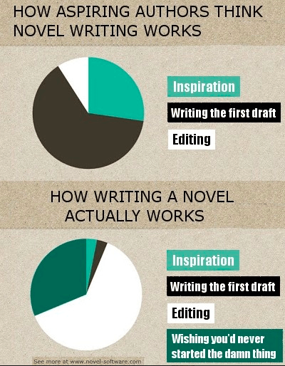 novel writing