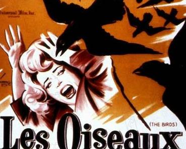 Les Oiseaux (Terreur volatile)