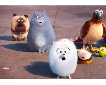 Box-Office US du weekend du 8 juillet 2016 : Comme des Bêtes déloge Dory du trône de leader !