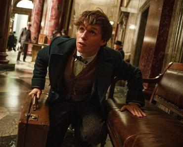Nouvelle bande annonce VF pour Les Animaux Fantastiques de David Yates ! (Comic-Con 2016)