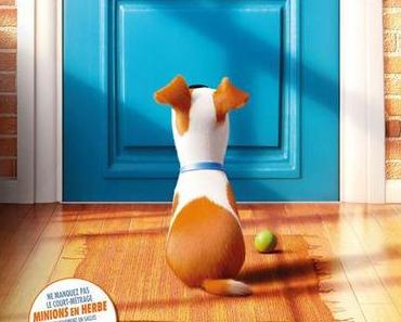 COMME DES BÊTES – 13/20