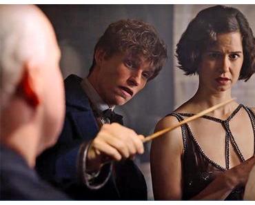 Nouveau trailer international (japonais) pour Les Animaux Fantastiques de David Yates