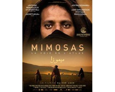 Jeu concours Mimosas, la voie de l’Atlas