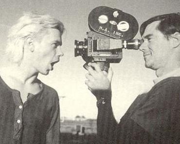 Coup de foudre pour ‘Pink’ de Gus Van Sant